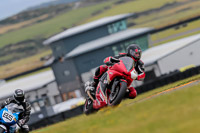 PJ-Motorsport-2019;anglesey-no-limits-trackday;anglesey-photographs;anglesey-trackday-photographs;enduro-digital-images;event-digital-images;eventdigitalimages;no-limits-trackdays;peter-wileman-photography;racing-digital-images;trac-mon;trackday-digital-images;trackday-photos;ty-croes